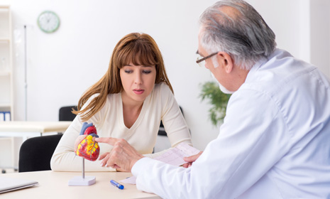 Clinician explaining heart model during consultation