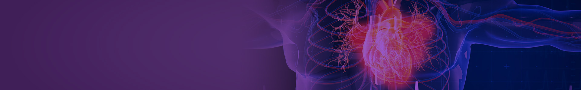 Digital illustration of heart and arteries